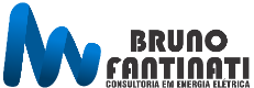 Bruno Fantinati Logo Site. png.fw.png